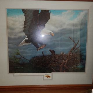 dscn4550