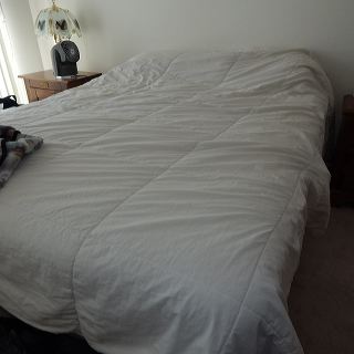 dscn4552