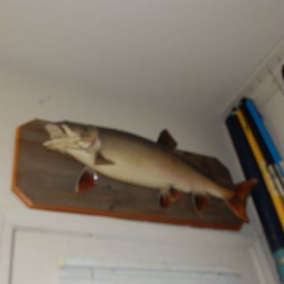 dscn4598