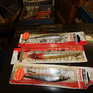 dscn4603_1