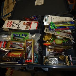 dscn4605_1
