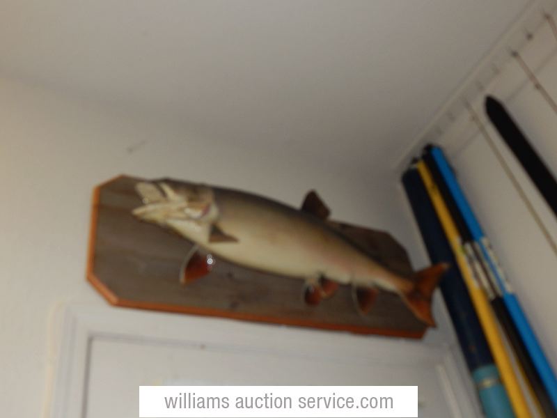 dscn4598.jpg