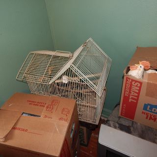 dscn4761