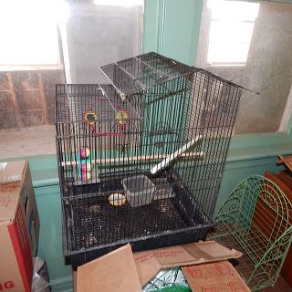 dscn4763