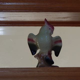 dscn4937