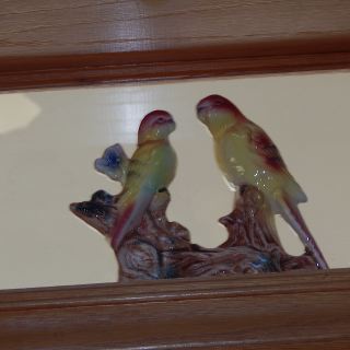 dscn4938