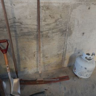 dscn5037