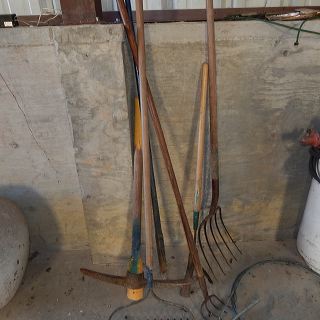 dscn5039