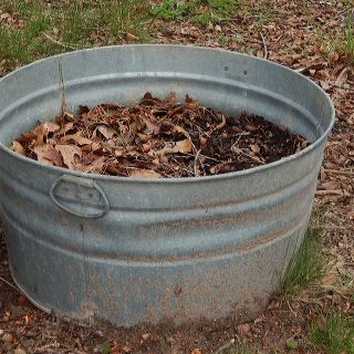 dscn5138