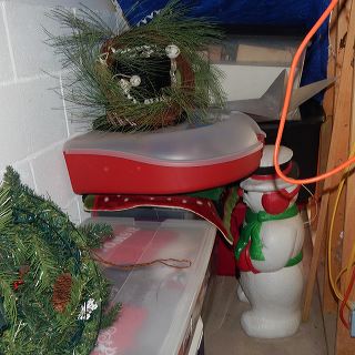 dscn5142