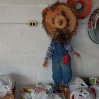 dscn5147