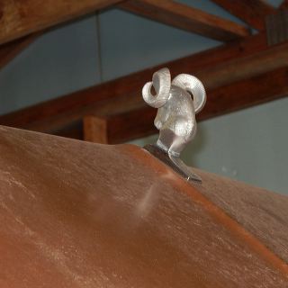 dscn5168