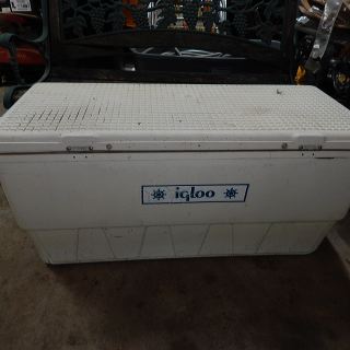 dscn5334