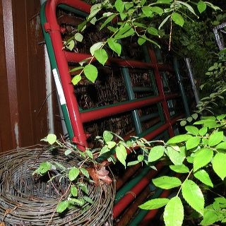 dscn1407