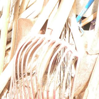dscn1560