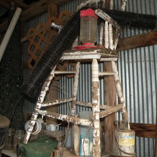 dscn1563
