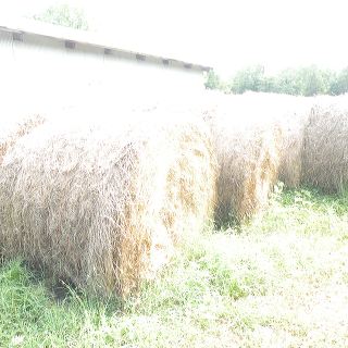 dscn1585