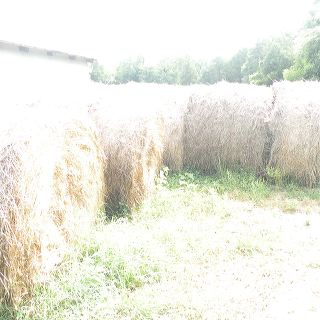 dscn1586