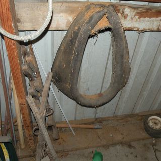 dscn9574