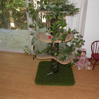 dscn9706