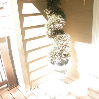 dscn9749