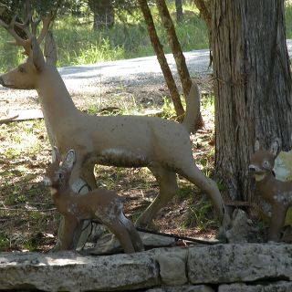 dscn9754