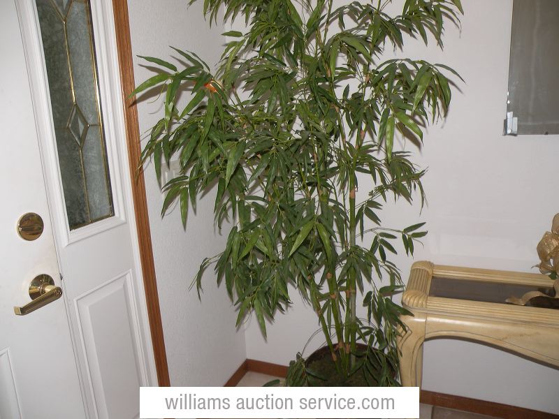 dscn9596.jpg