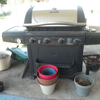dscn9879