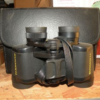 dscn9917_1