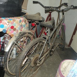 dscn9982_1