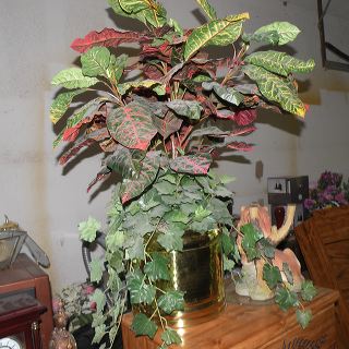 dscn9989