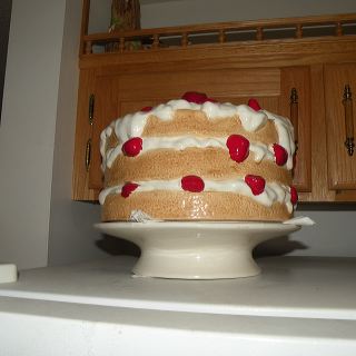 dscn0240