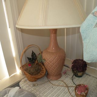 dscn0263