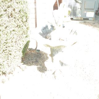 dscn0271
