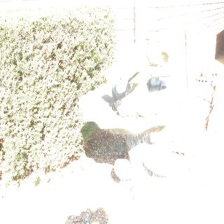 dscn0273