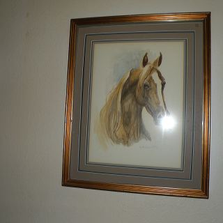 dscn1747