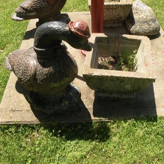 dscn2481