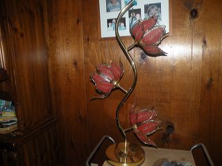 dscn9686