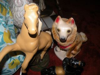 dscn9728