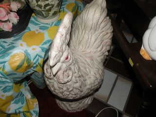 dscn9730