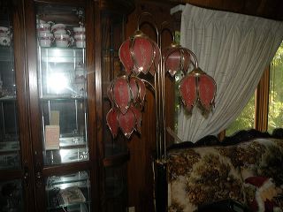 dscn9733