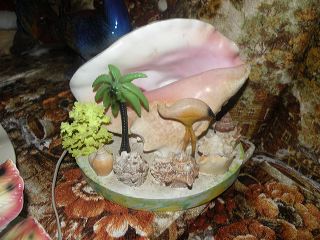 dscn9748