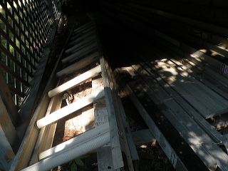 dscn9597