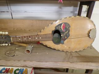 auction-jan-2524