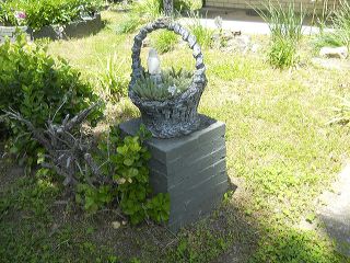dscn9141