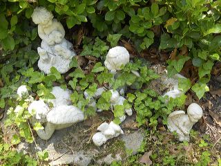 dscn9144