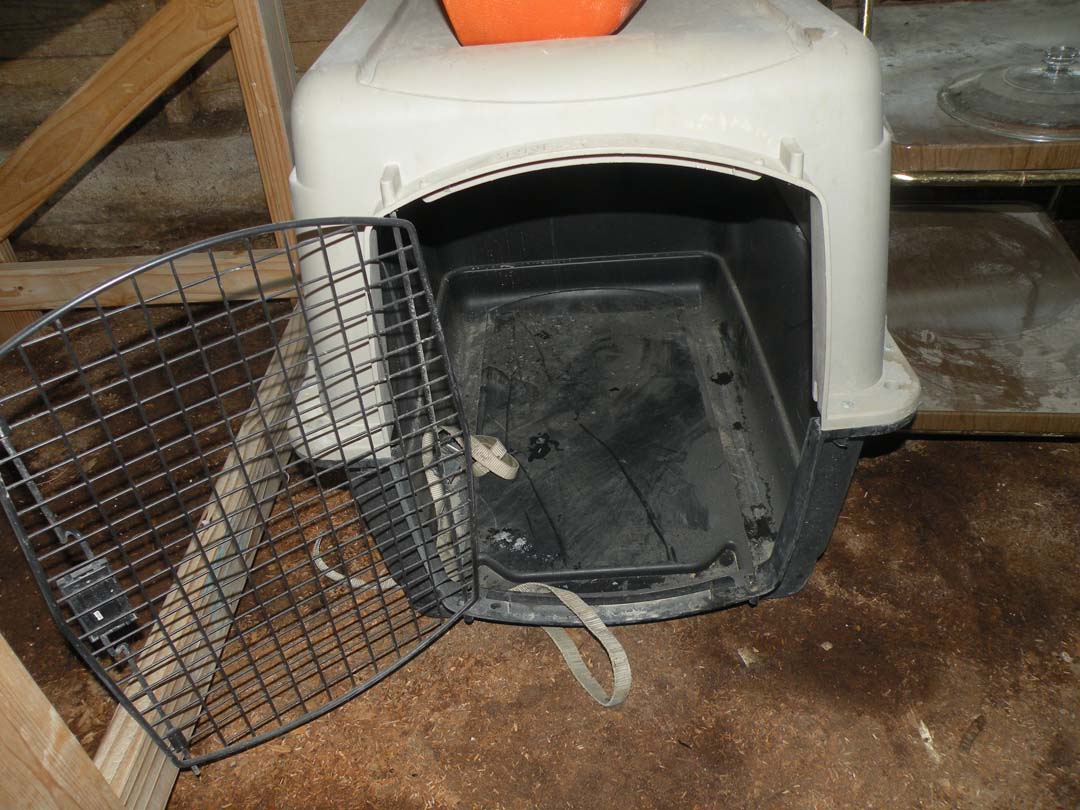 Auction photo 60