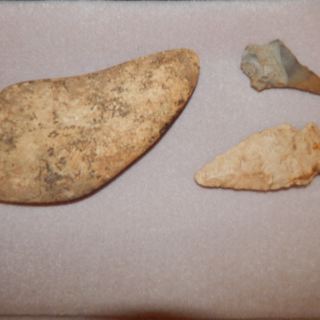 dscn4623