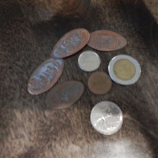 dscn4626