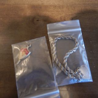 dscn4653